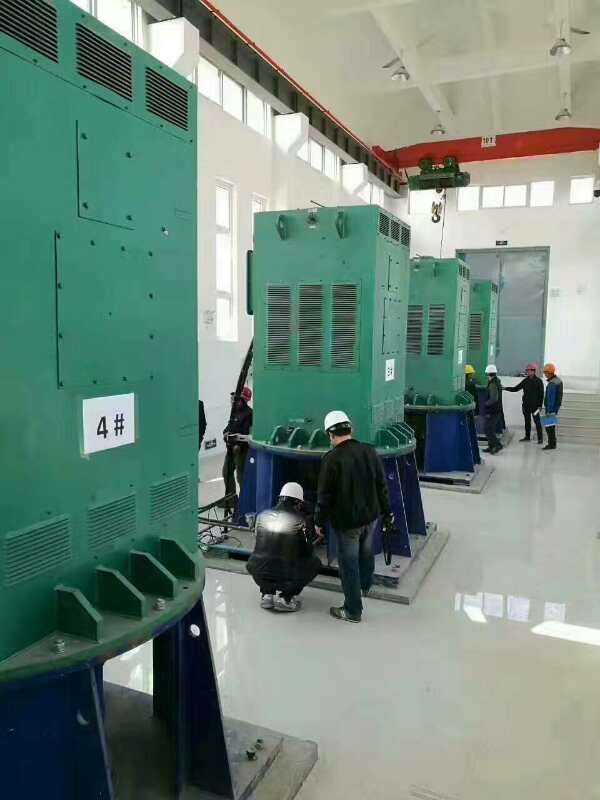 吐鲁番某污水处理厂使用我厂的立式高压电机安装现场
